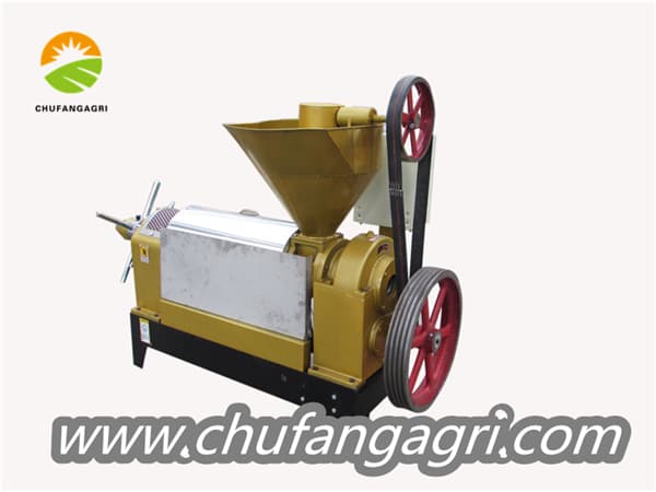 Agricultural 6YL-100Spiral oil press