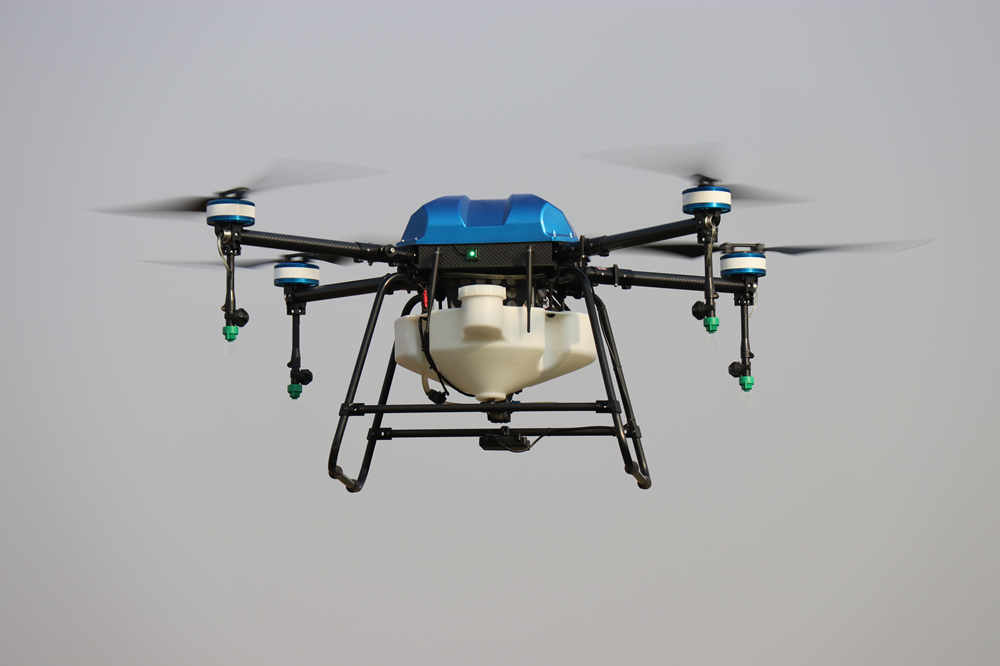 3WQF Free eagle DP for sale