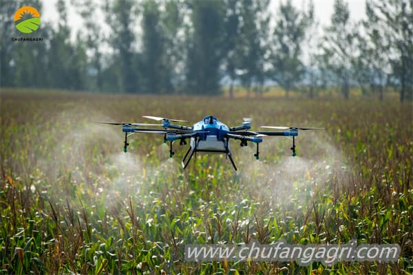 agricultura familiar