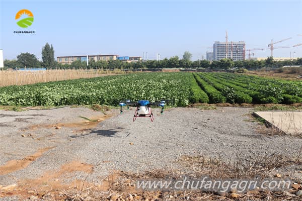 drone in agriculture