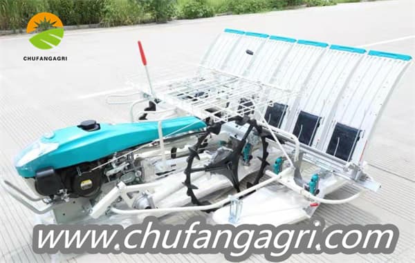Rice transplanter