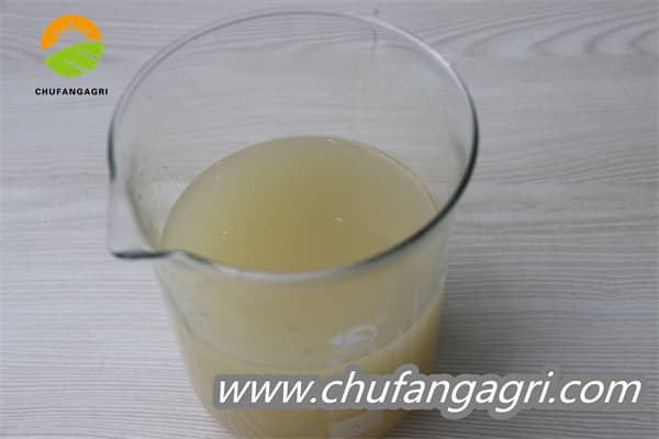Chufangagri XMD Bacillus amyloliticus(BAA)