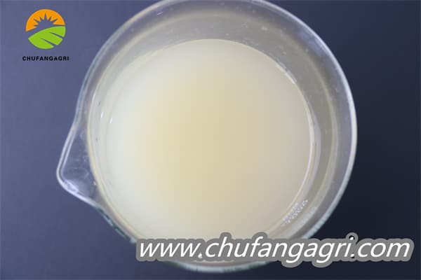 Bacillus amyloliquefaciens (TKJ)