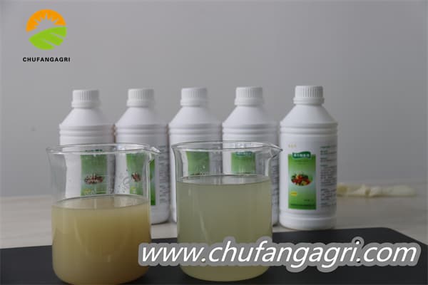Chufangagri XMD Bacillus amyloliticus