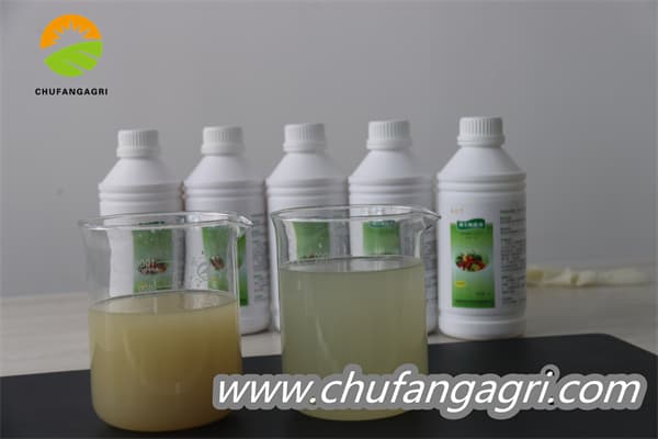Chufangagri XMD Bacillus amyloliticus(BAA)