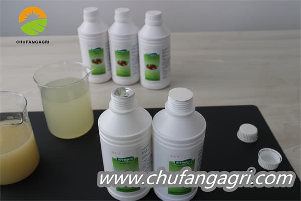 XMD Bacillus amyloliticus