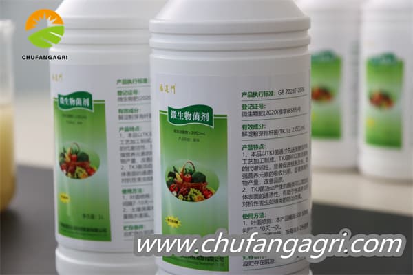 XMD Bacillus amyloliticus(BAA)
