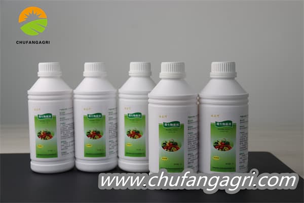 Chufangagri Bacillus amyloliticus