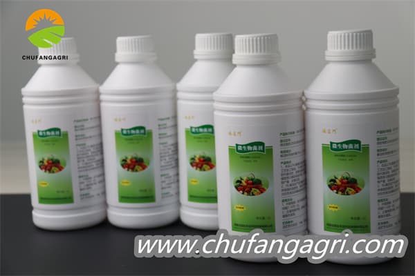Chufangagri XMD Microbial Agent-Bacillus amyloliticus