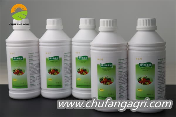 Chufangagri Bacillus amyloliticus(BAA)