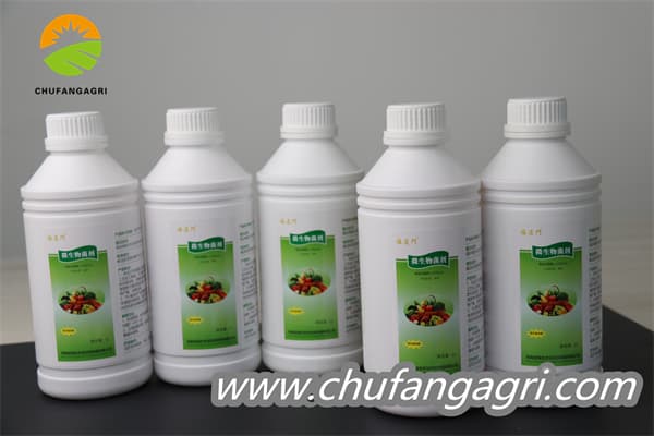 Chufangagri XMD Bacillus amyloliquefaciens (TKJ)
