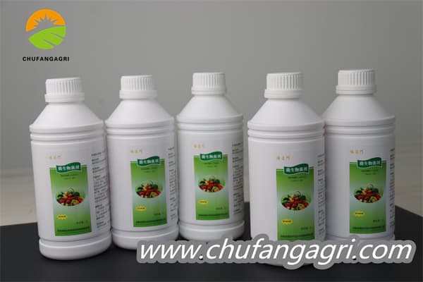Chufangagri XMD Bacillus amyloliticus