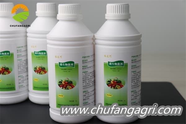 Bacillus amyloliquefaciens (TKJ)