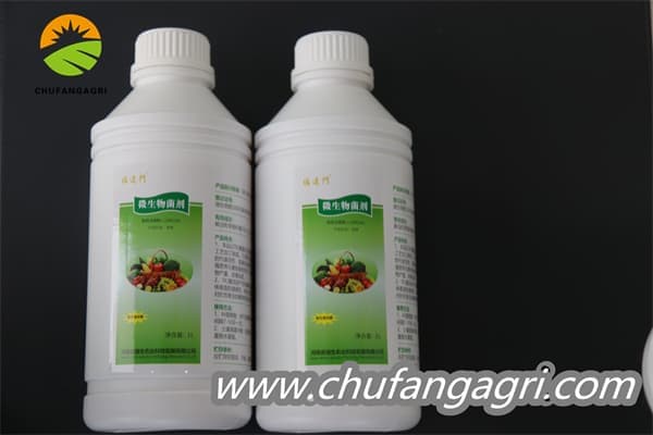 Chufangagri XMD Bacillus amyloliticus