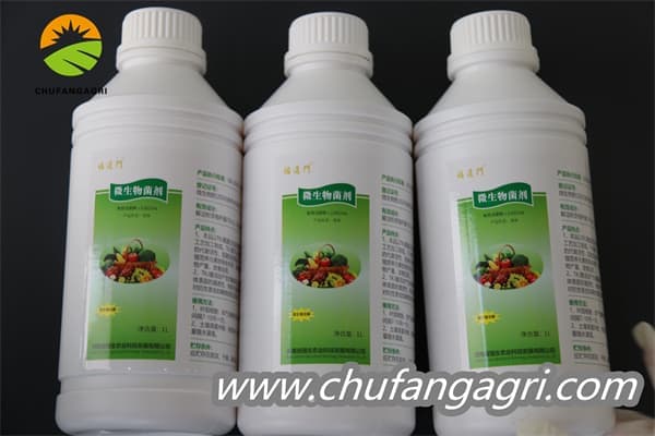 Chufangagri Bacillus amyloliticus(BAA)