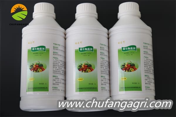 Bacillus amyloliquefaciens (TKJ)