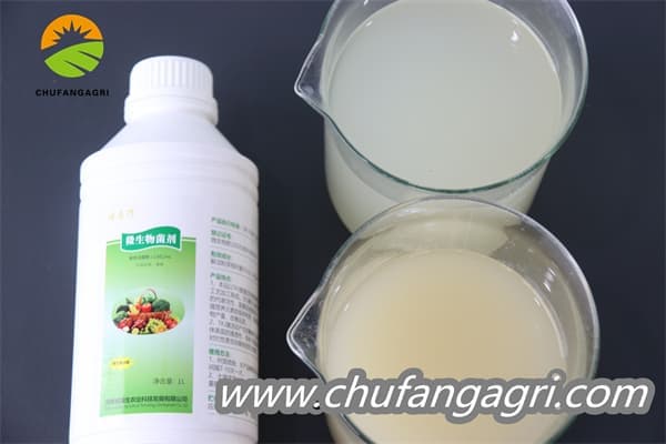 Bacillus amyloliquefaciens (TKJ)