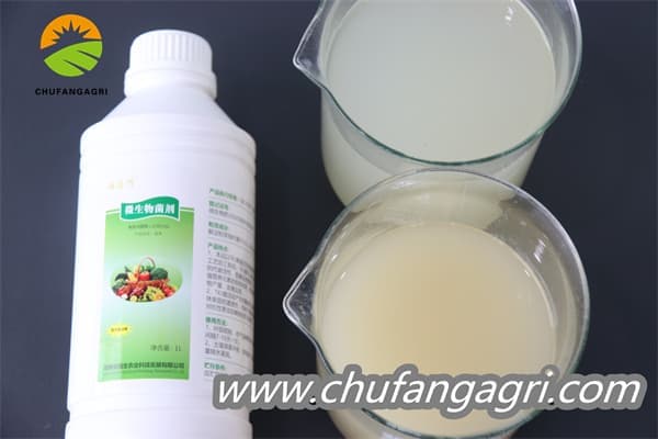 Chufangagri Bacillus amyloliticus