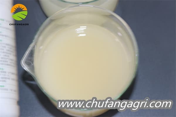 Chufangagri Bacillus amyloliticus