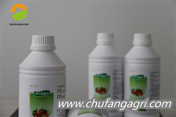 XMD Bacillus amyloliticus(BAA)