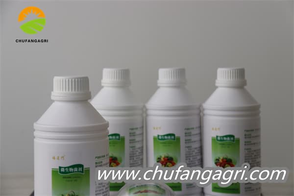 Chufangagri Bacillus amyloliticus
