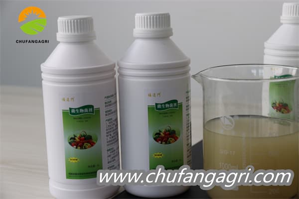 Chufangagri Bacillus amyloliticus(TKJ)