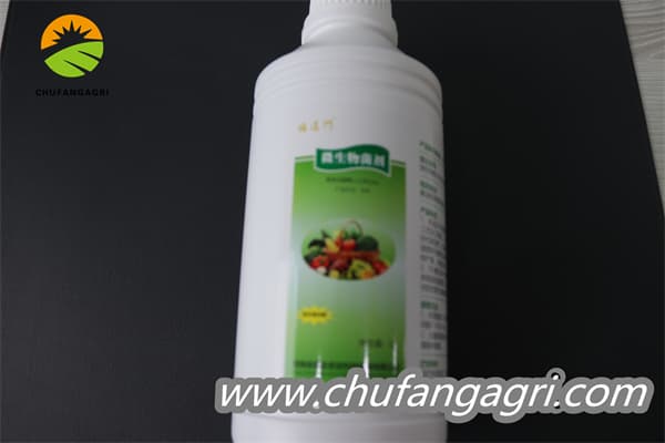 Bacillus amyloliquefaciens (TKJ)
