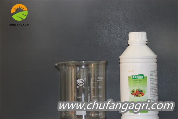 Chufangagri Bacillus amyloliticus