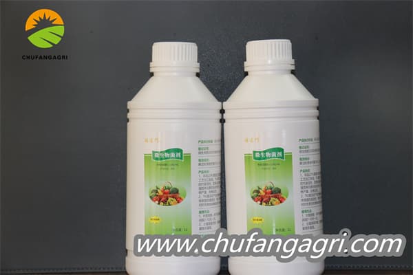 Bacillus amyloliticus(BAA)