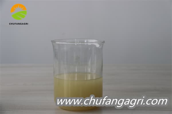 Chufangagri Bacillus amyloliquefaciens (TKJ)