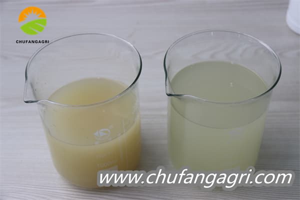 Chufangagri XMD Bacillus amyloliticus