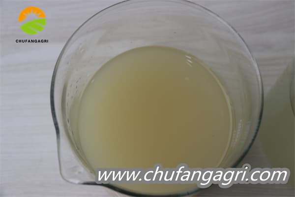 XMD Bacillus amyloliticus(TKJ)