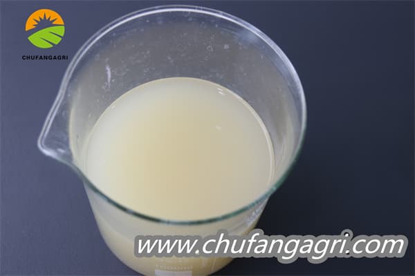 Chufangagri Bacillus amyloliquefaciens (TKJ)