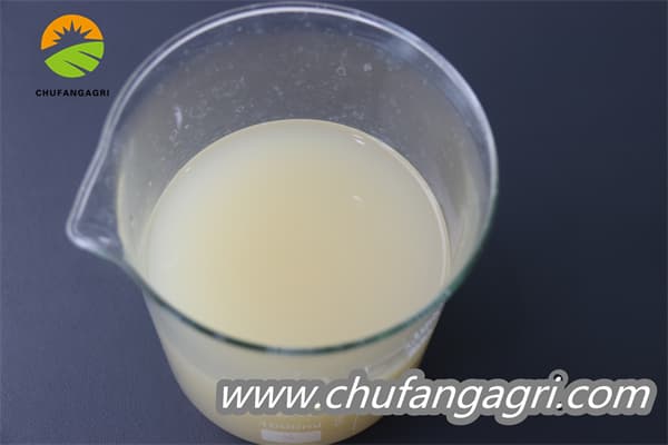 XMD Bacillus amyloliticus(BAA)
