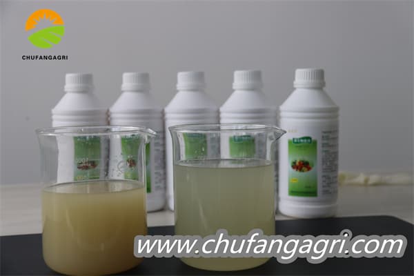 Chufangagri XMD Bacillus amyloliquefaciens (TKJ)