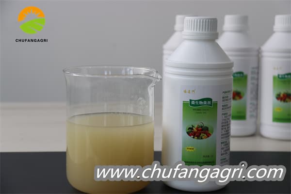 XMD Microbial Agent-Bacillus amyloliticus