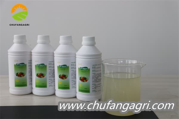 Bacillus amyloliticus(BAA)