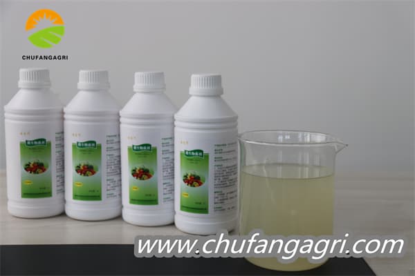 Chufangagri Bacillus amyloliquefaciens (TKJ)
