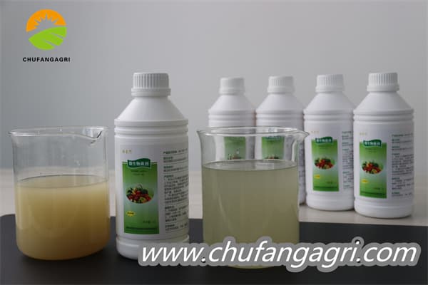 Chufangagri XMD Bacillus amyloliticus
