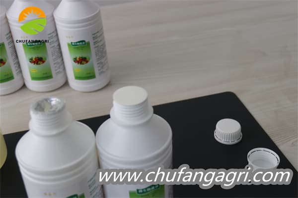 XMD Bacillus amyloliticus(BAA)