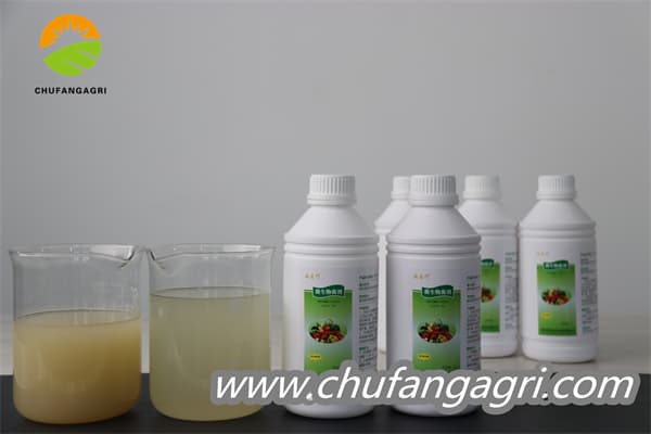 Chufangagri XMD Bacillus amyloliticus(BAA)