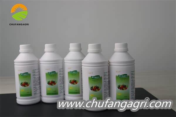 Organic, antibacterial, increase production, increase income