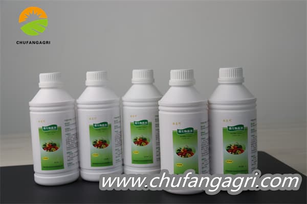 XMD Bacillus amyloliticus