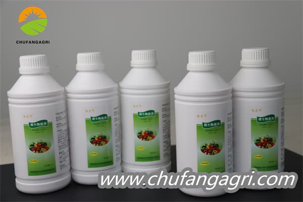 XMD Bacillus amyloliticus