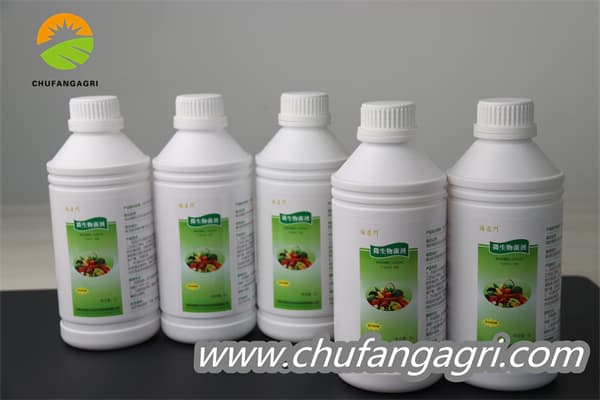 XMD Bacillus amyloliticus(TKJ) Microbial Agent