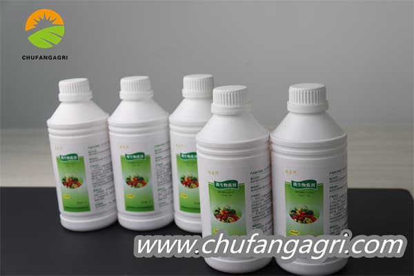 Bacillus amyloliquefaciens (TKJ)