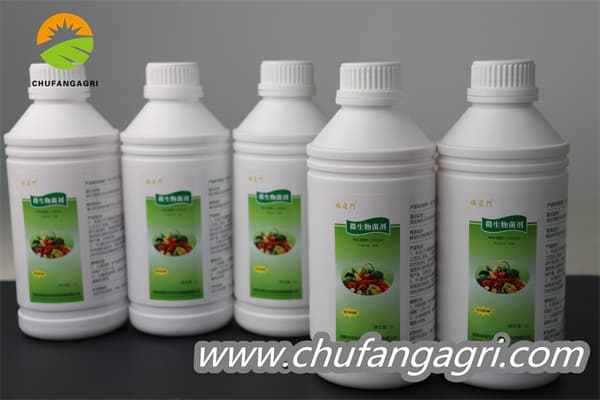 Chufangagri Bacillus amyloliquefaciens (TKJ)