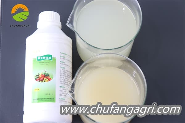 Bacillus amyloliquefaciens (TKJ)