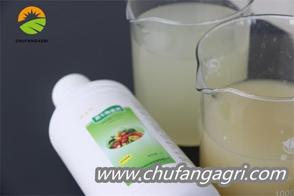 Chufangagri Bacillus amyloliquefaciens (TKJ)