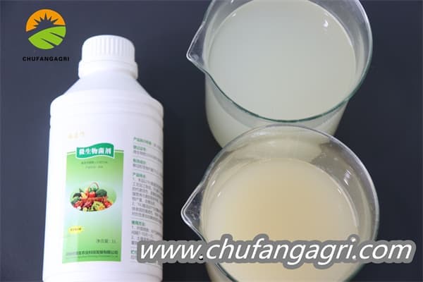 Chufangagri XMD Bacillus amyloliticus